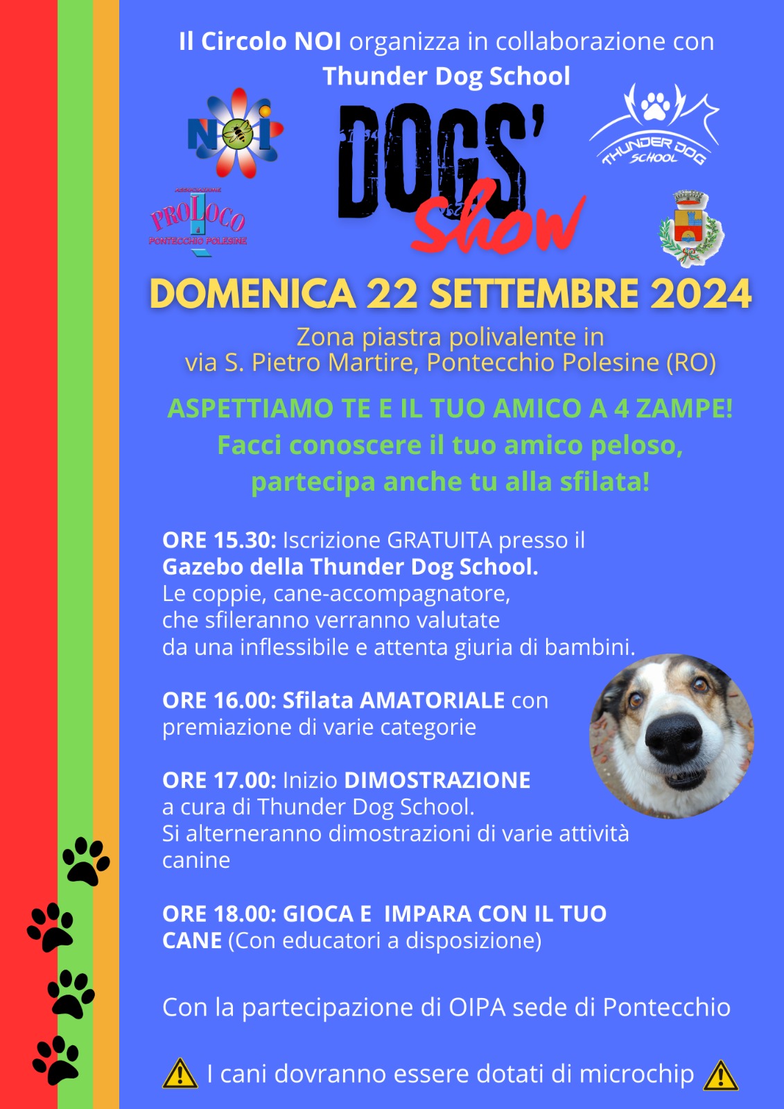 Dog's show