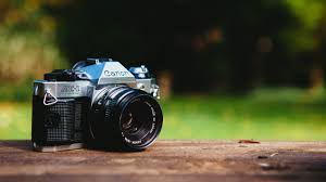 1° concorso fotografico...una cartolina per Pontecchio. Proroga consegna foto fino al 19 maggio. Vi aspettiamo  numerosi!