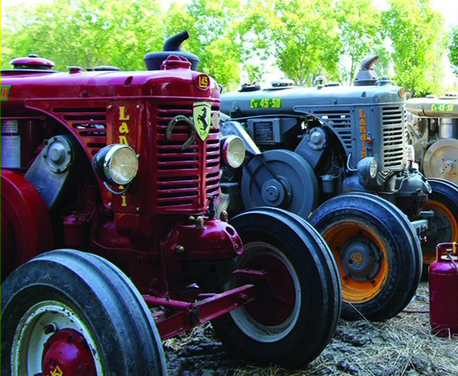Festa dell'aratura con testacalda