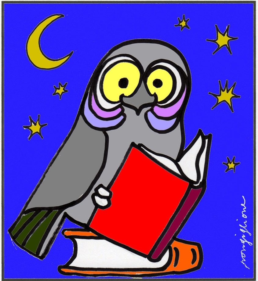 La notte bianca delle biblioteche