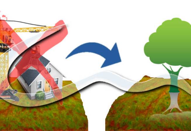 Varianti verdi per la riclassificazione di aree edificabili. 